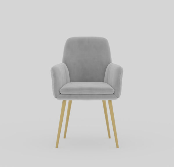 Living Room Armchair