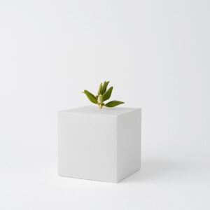 Ceramic Jug Vase