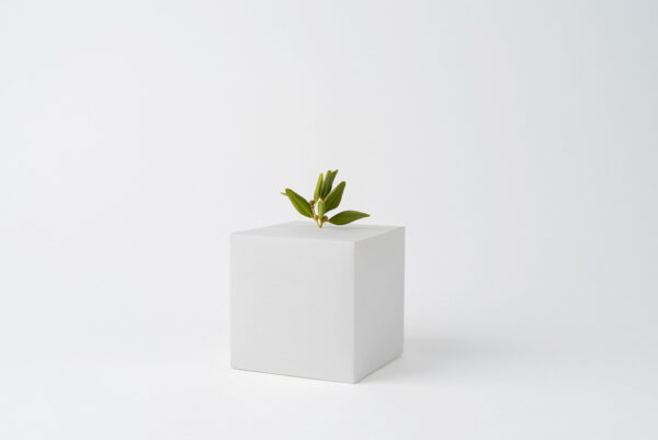 Ceramic Jug Vase