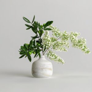 Ponytail Plant with Pot
